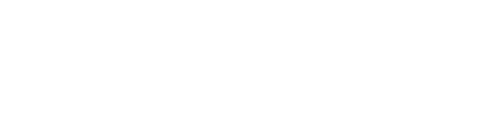 INPUT